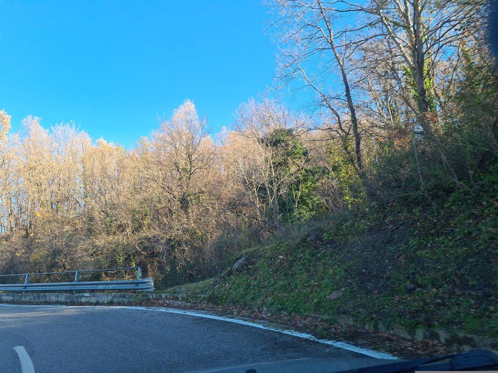View at km 15.7