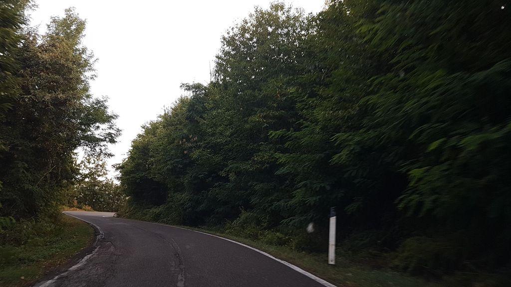 View at km 9.2