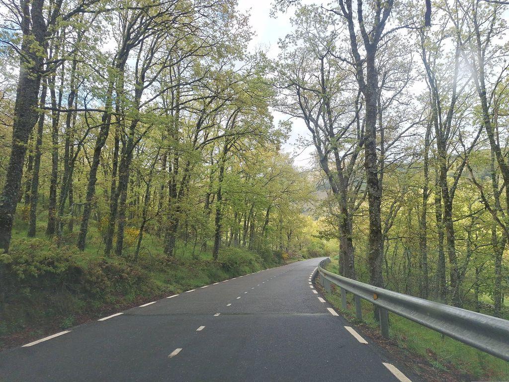 View at km 4.4