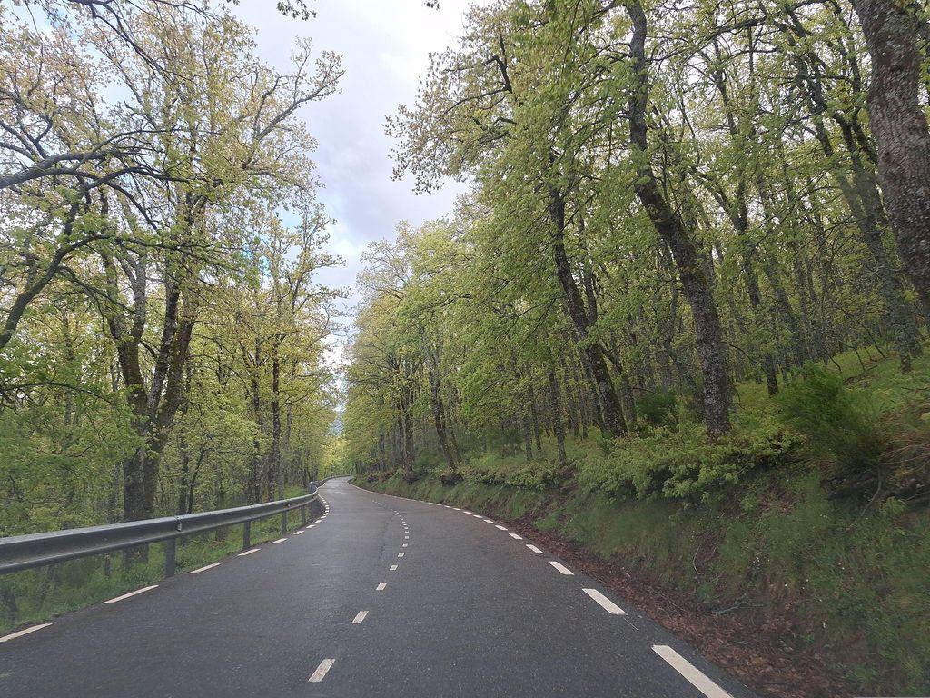 View at km 4.9