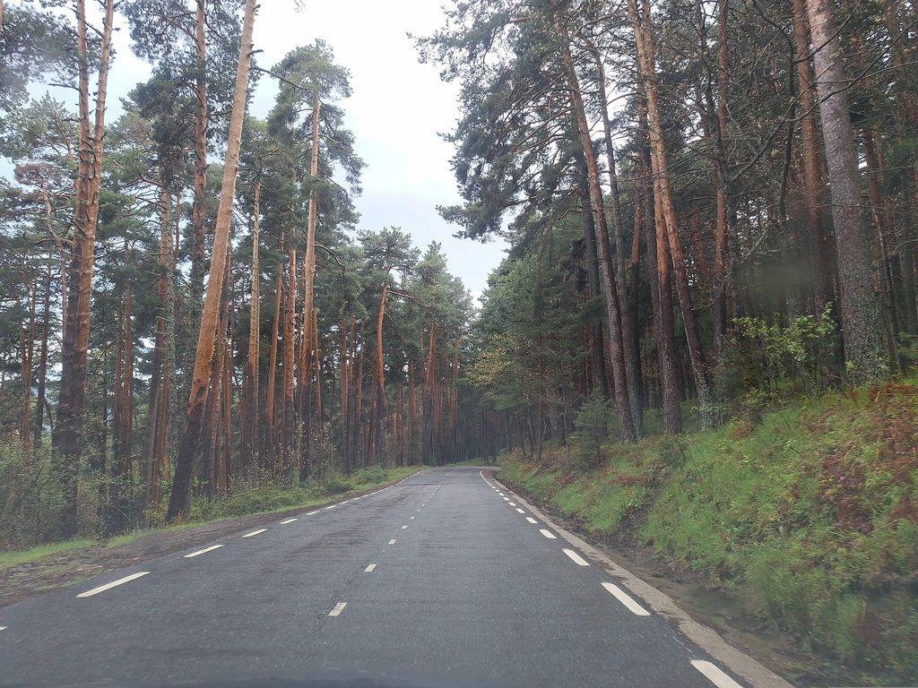 View at km 6.5