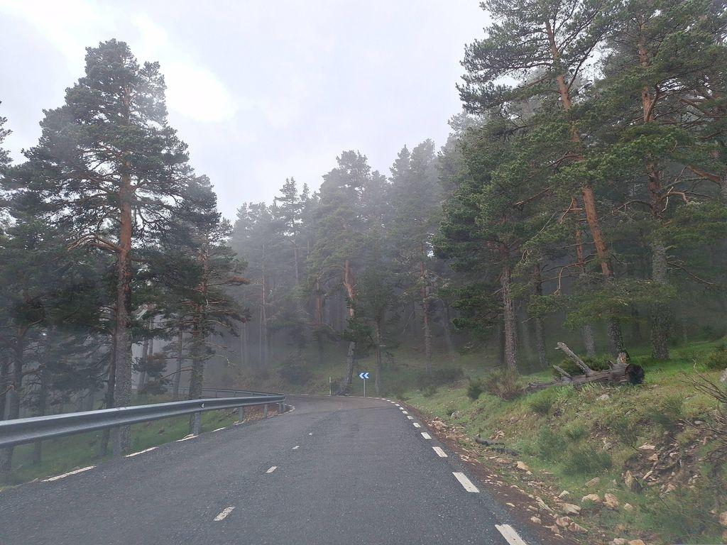 View at km 11.1