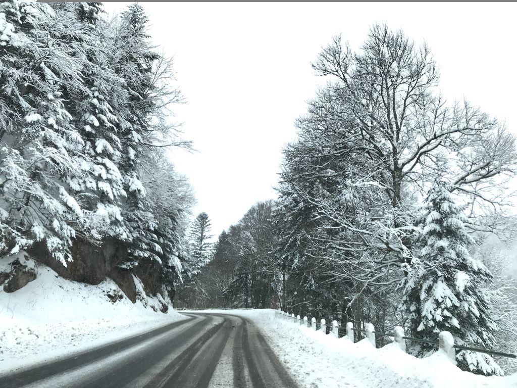 View at km 2.4