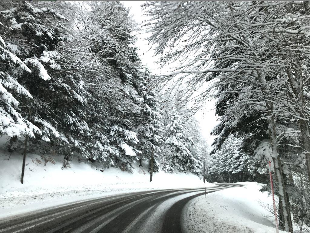 View at km 2.9