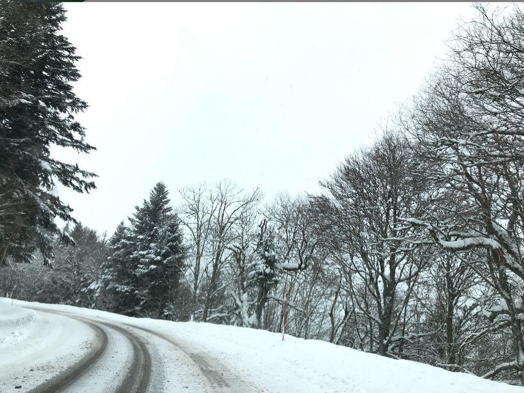 View at km 4.6