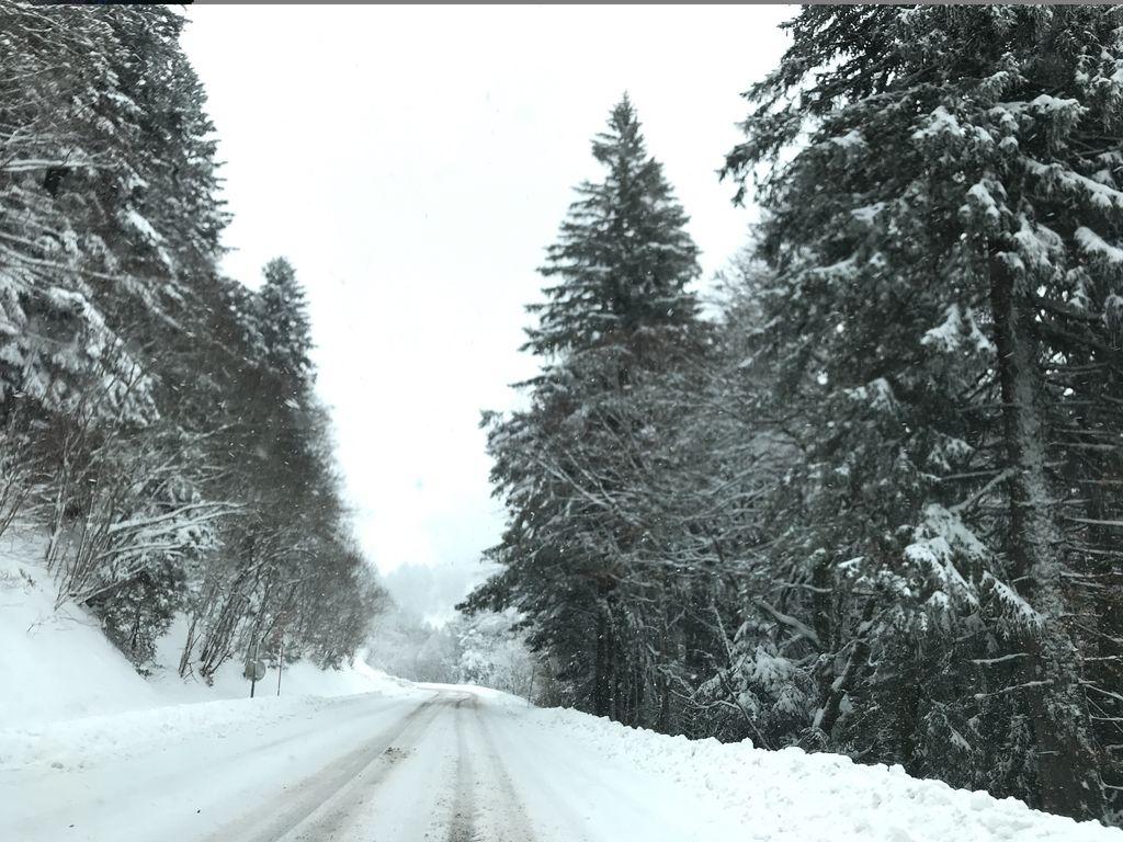 View at km 5.6