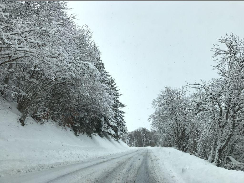 View at km 12.5