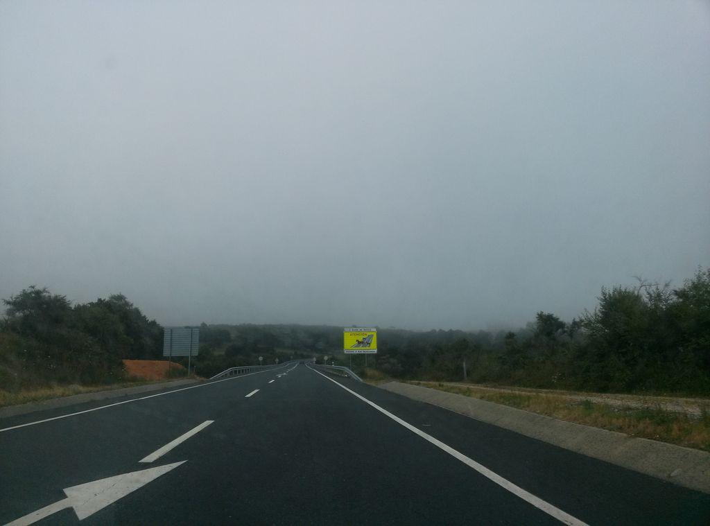 View at km 2.4
