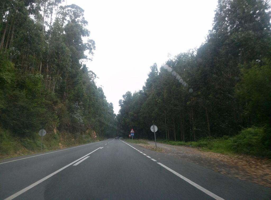 View at km 1.3