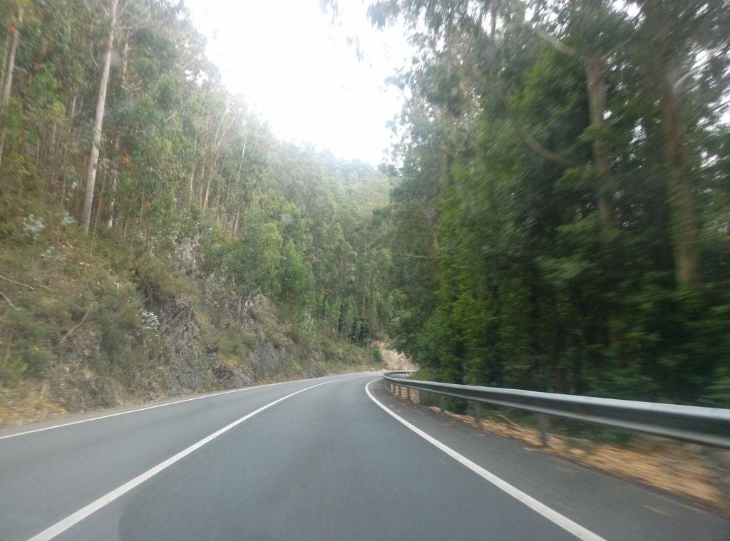 View at km 1.8