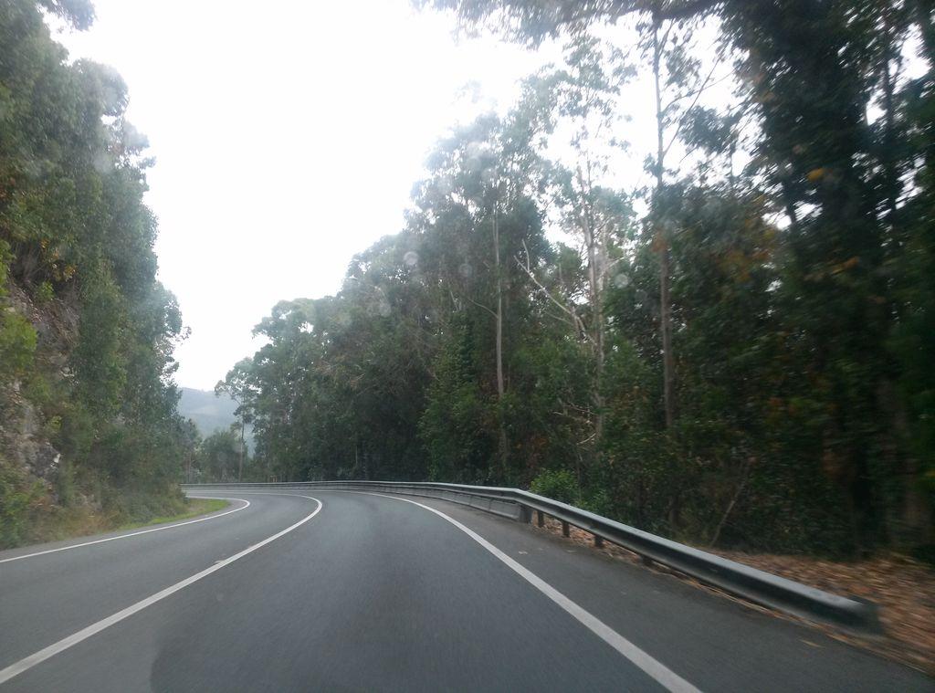 View at km 2.3