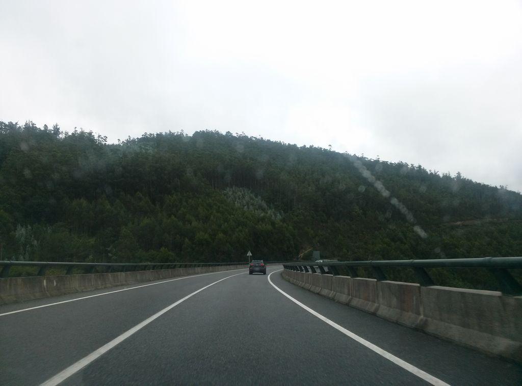 View at km 11.1