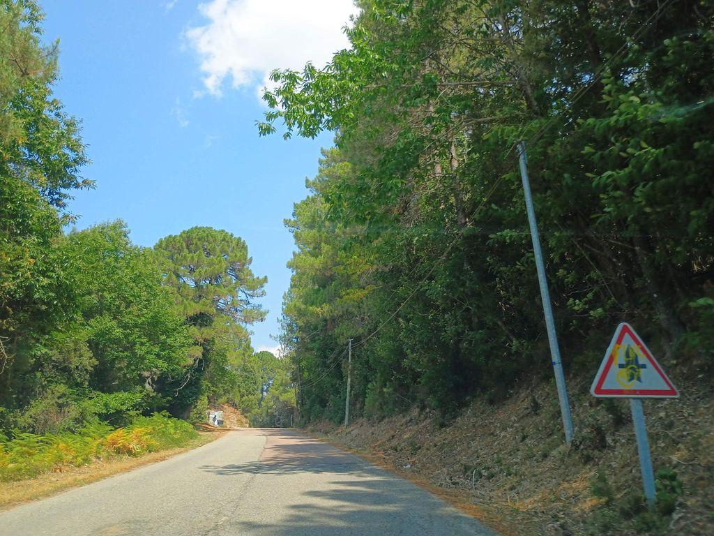 View at km 1.3