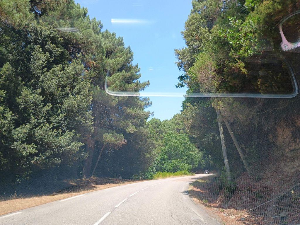 View at km 2.3