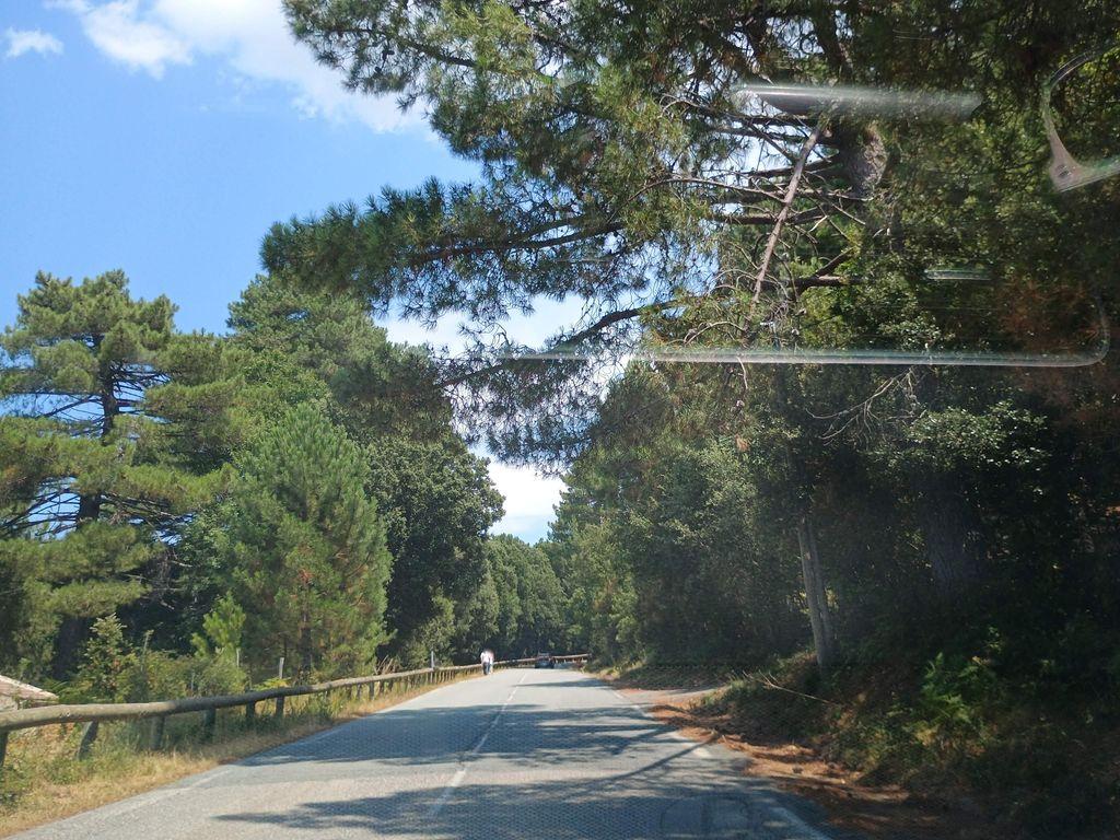 View at km 2.8