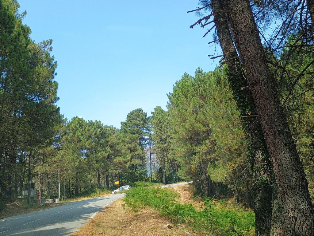View at km 3.9
