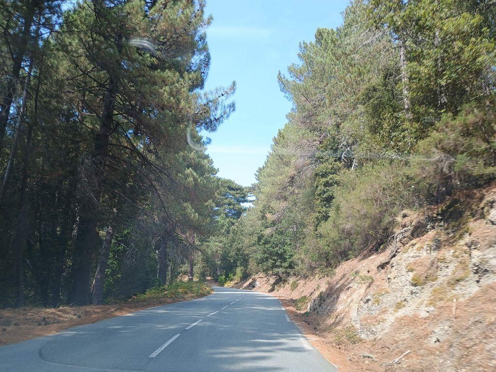 View at km 4.9