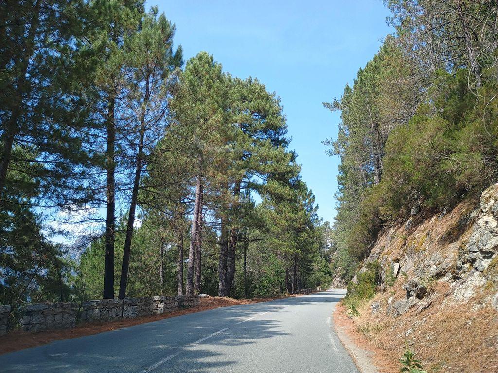 View at km 5.4