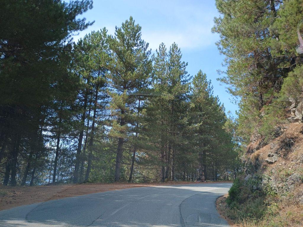 View at km 6