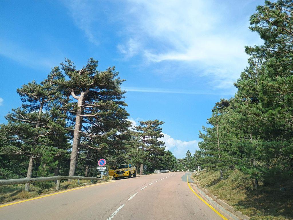 View at km 8.5
