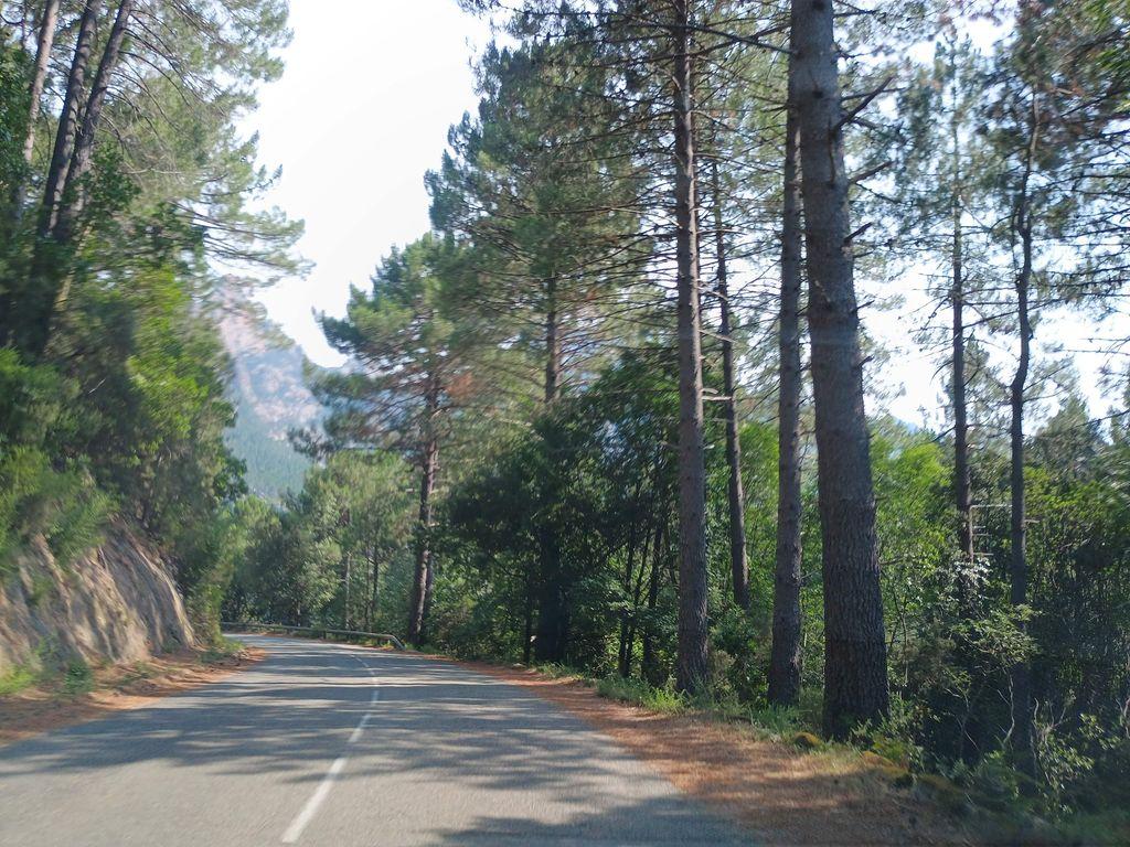 View at km 0.3
