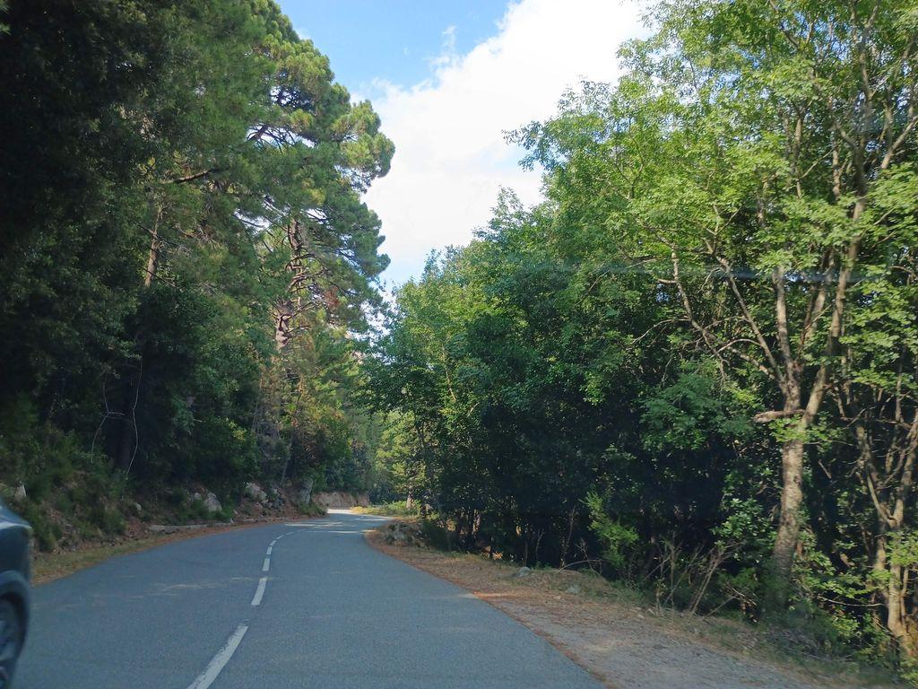 View at km 0.8