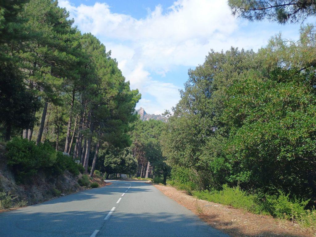 View at km 1.3