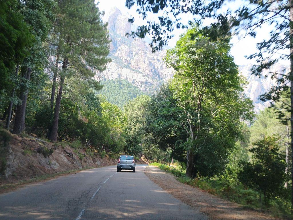 View at km 1.8