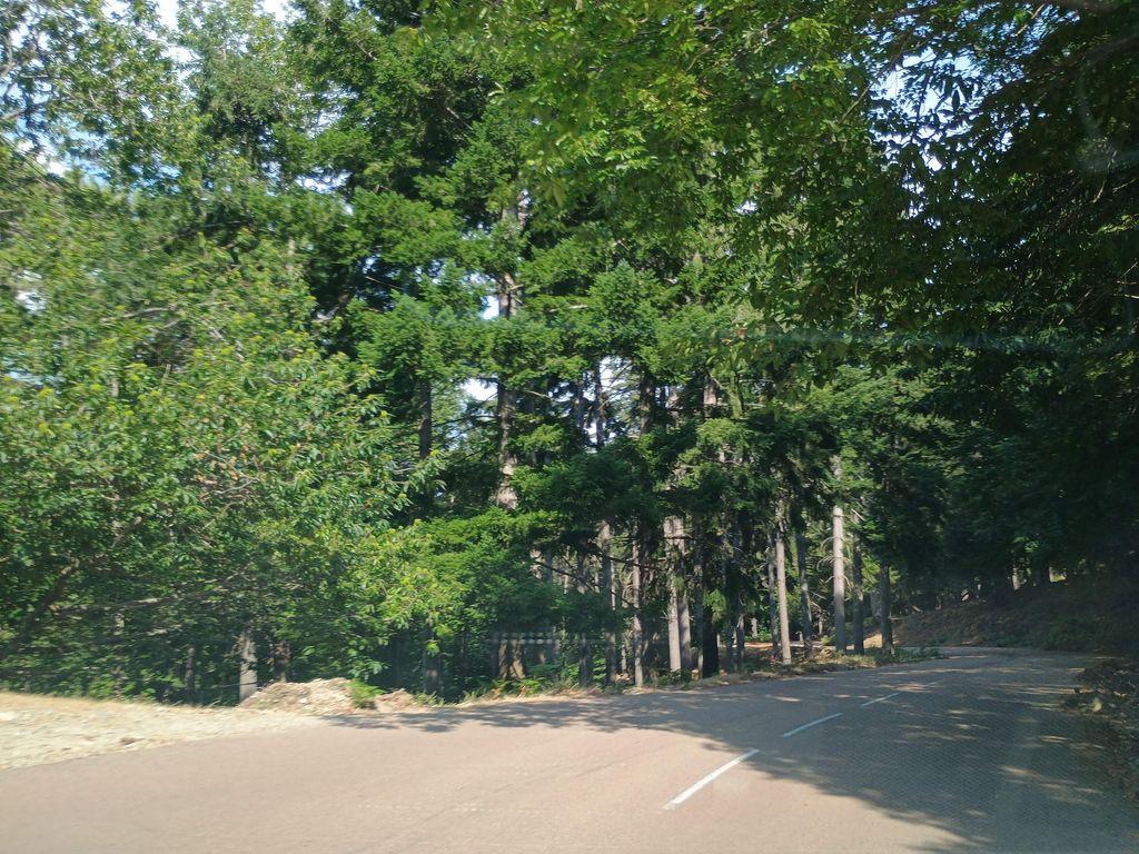 View at km 3.4