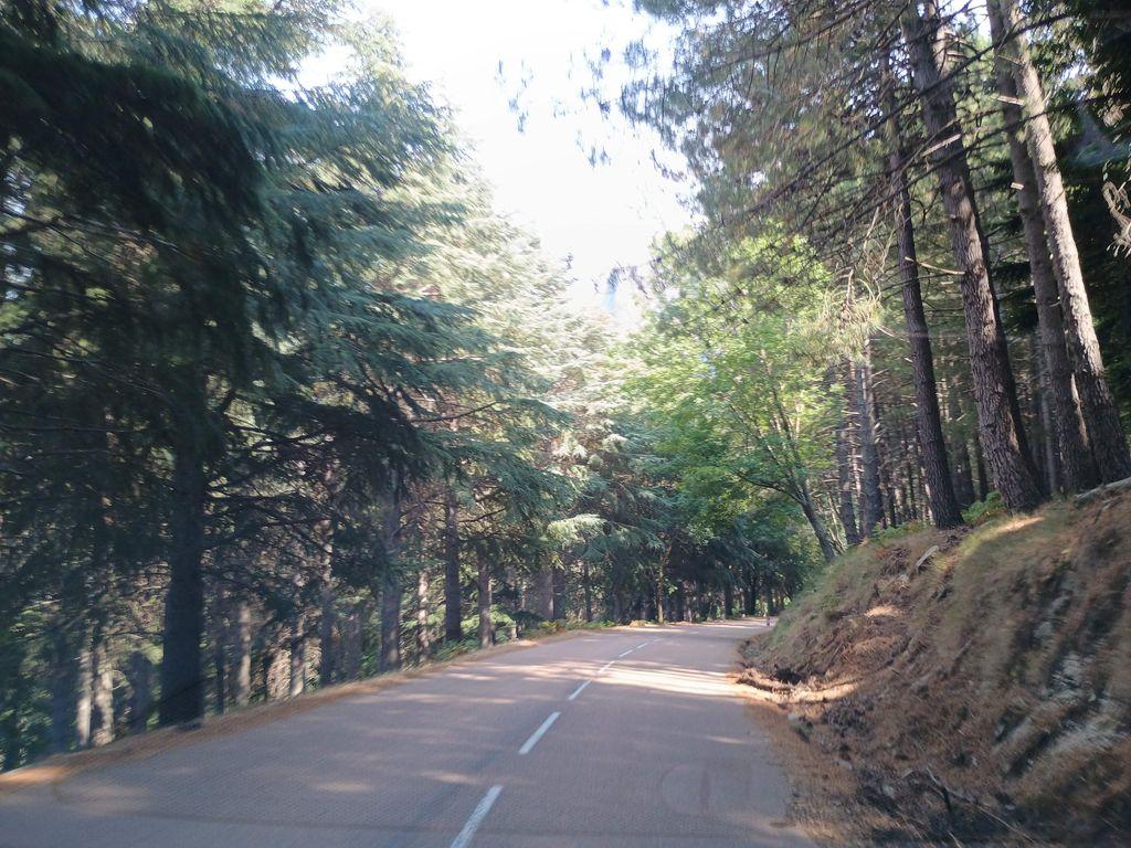 View at km 3.9