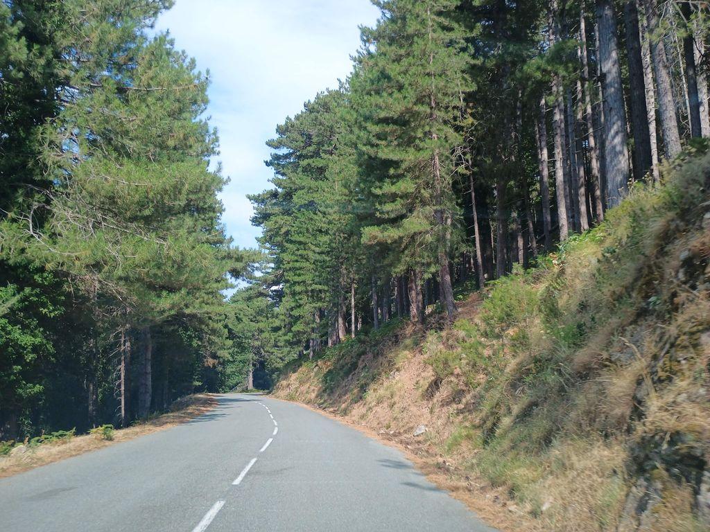 View at km 5