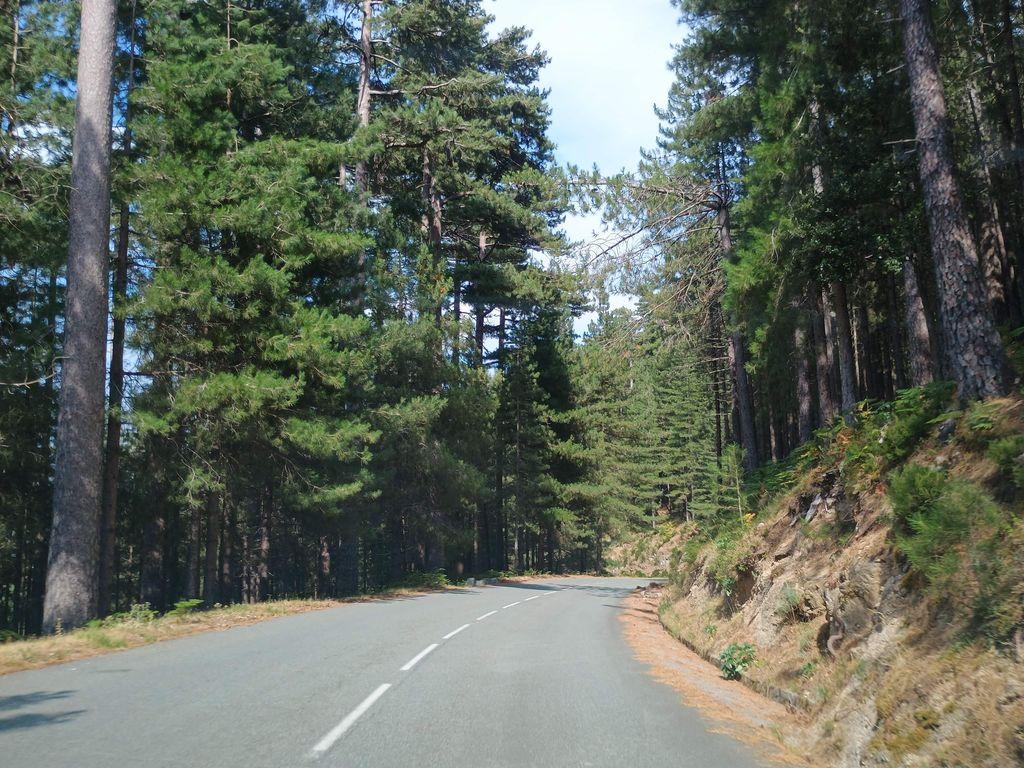 View at km 5.5