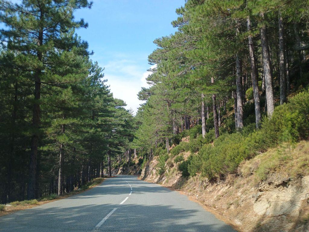 View at km 6.5