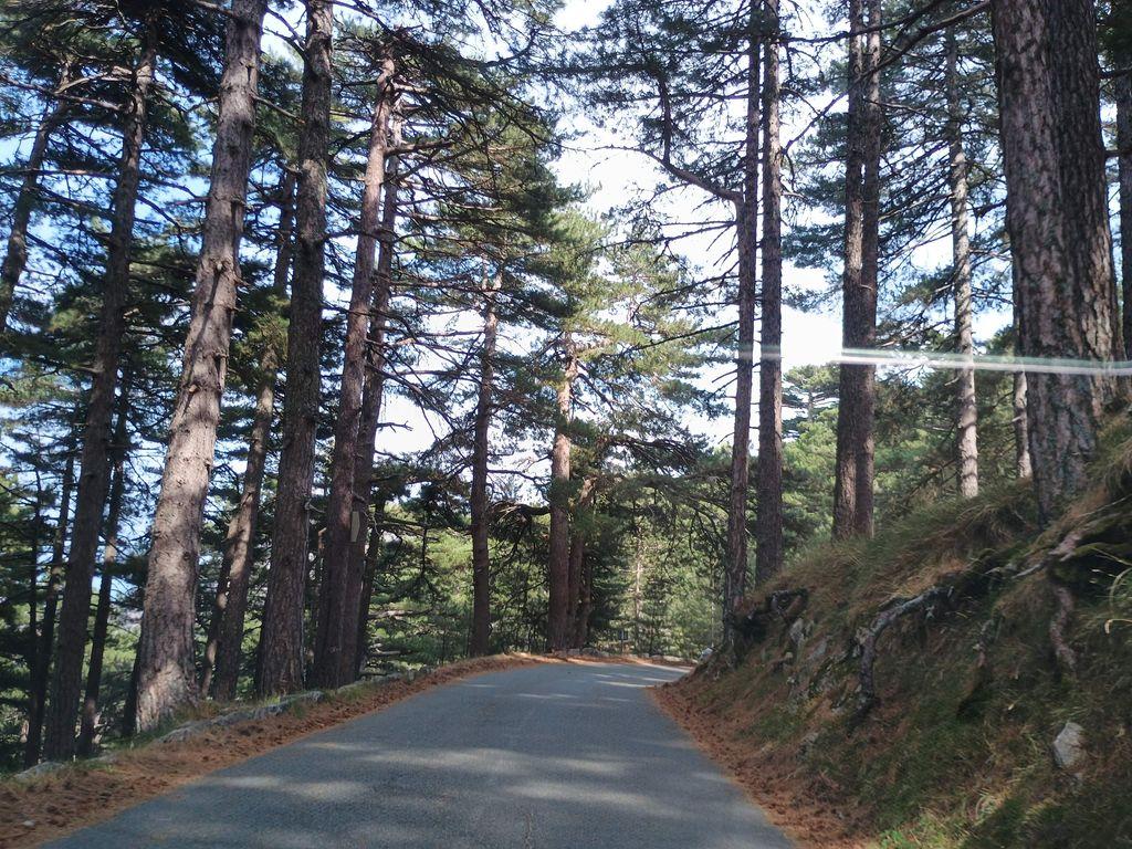 View at km 8.1