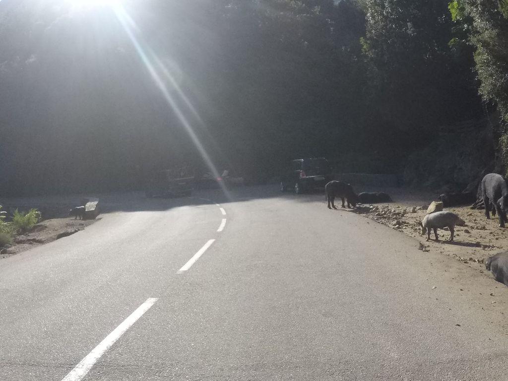 View at km 11