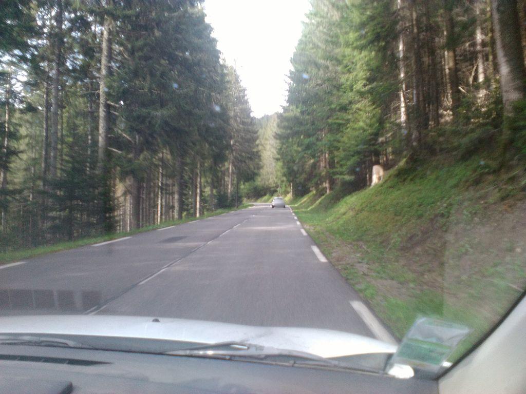 View at km 11.4