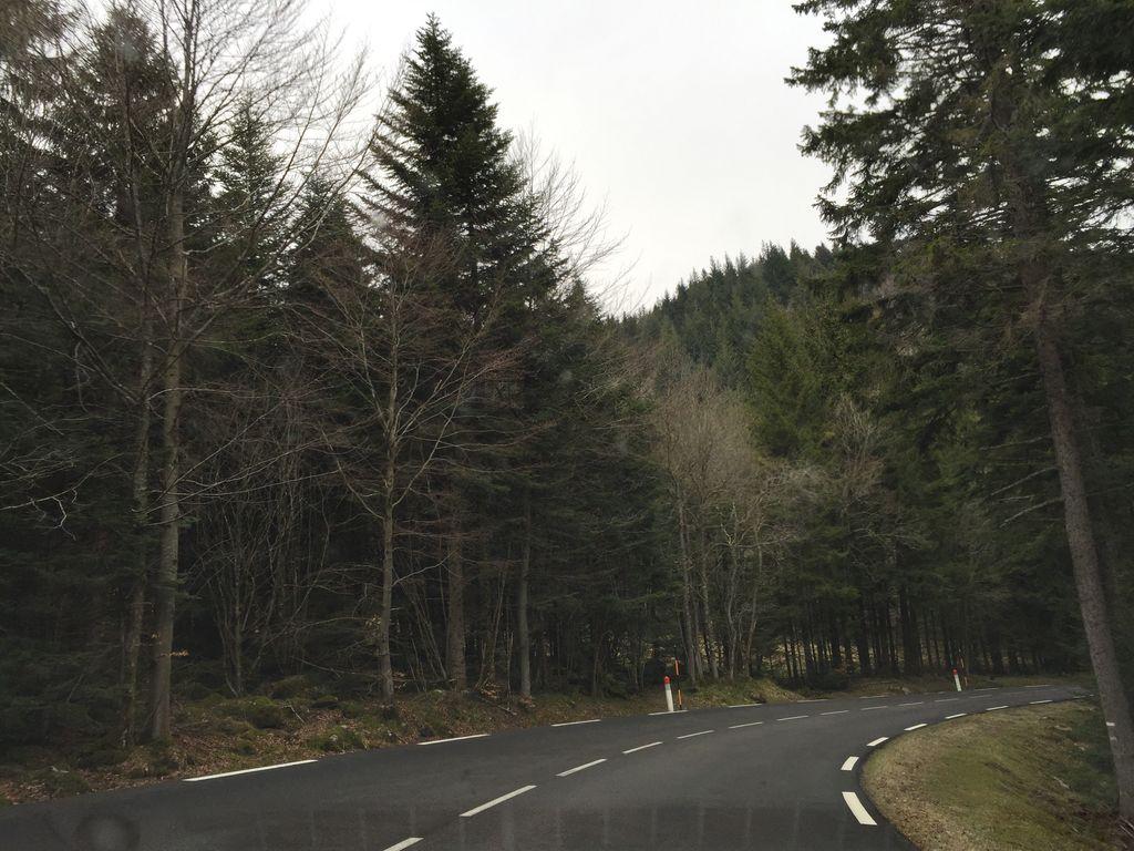 View at km 13