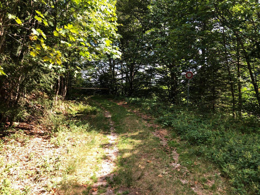 View at km 7.2