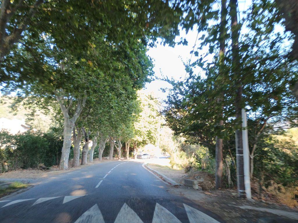 View at km 2.4