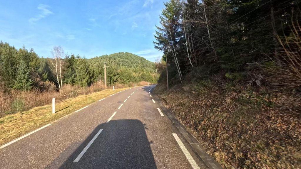 View at km 0.3