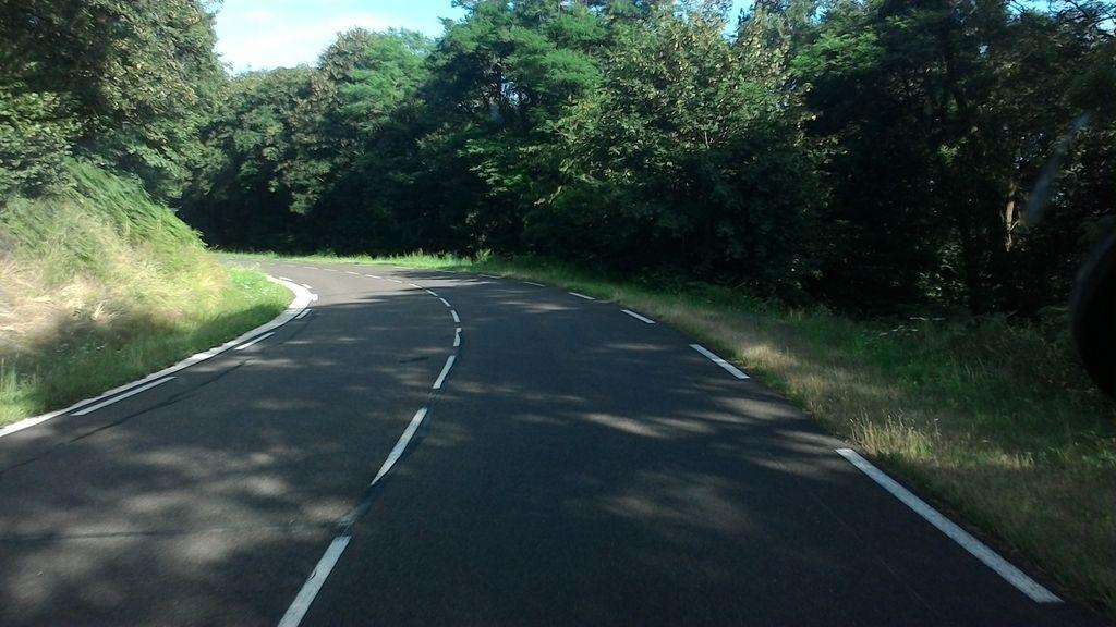 View at km 1.4