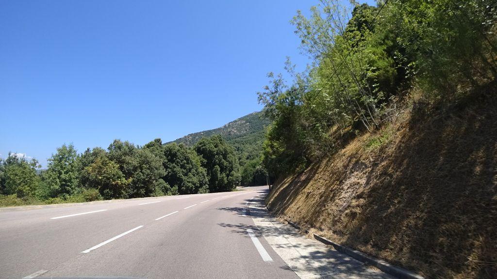 View at km 11.3