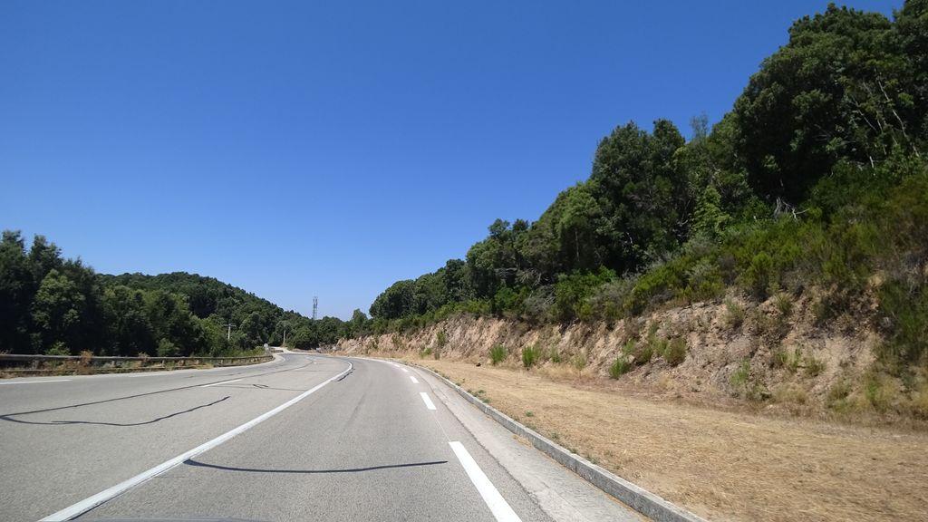 View at km 11.8