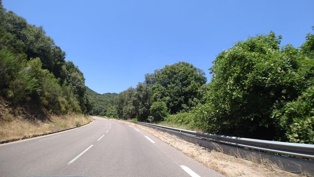 View at km 1.3