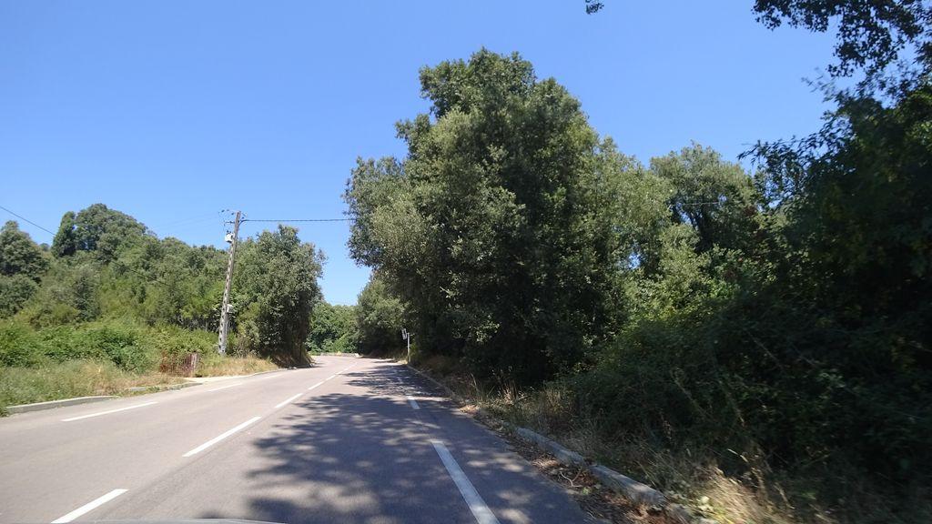 View at km 4.5