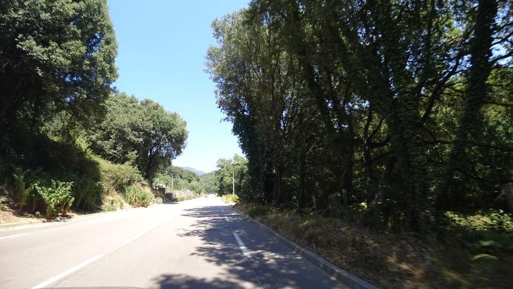 View at km 5
