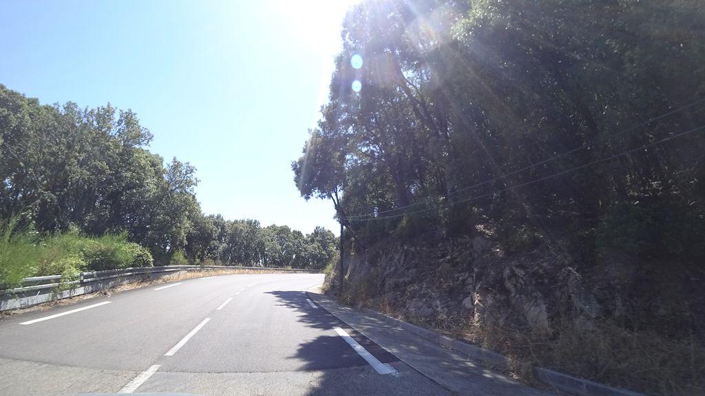 View at km 11.8