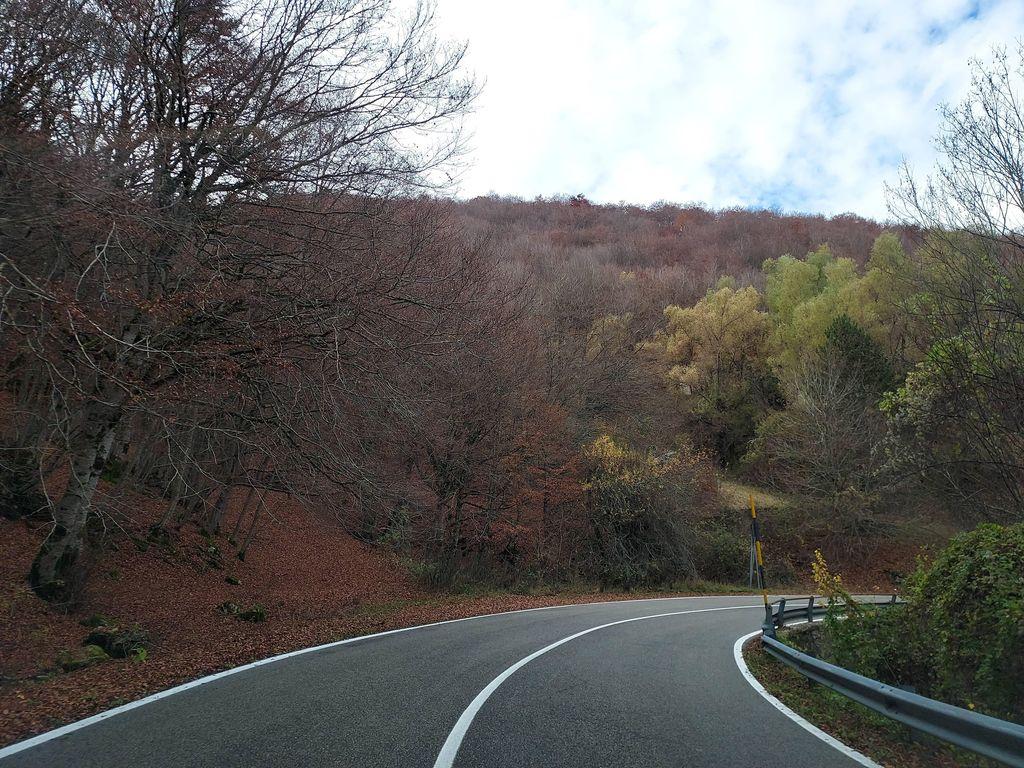 View at km 2.4