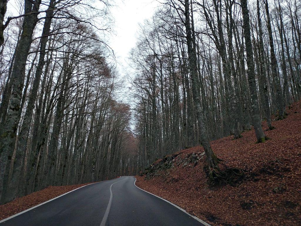 View at km 8.2