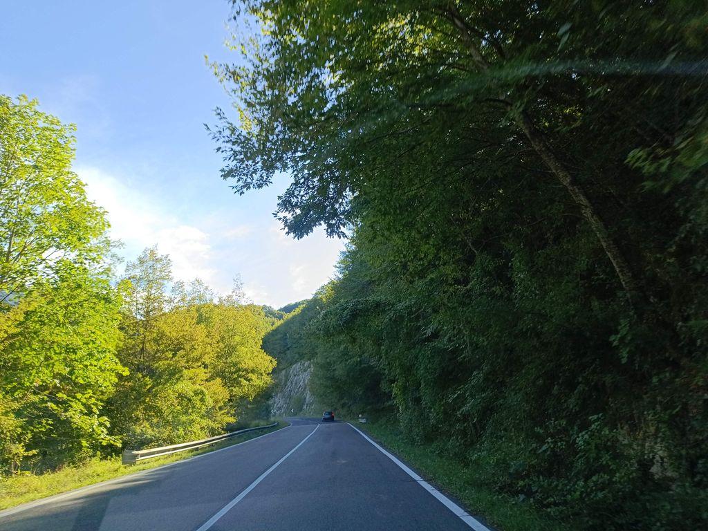 View at km 11.4